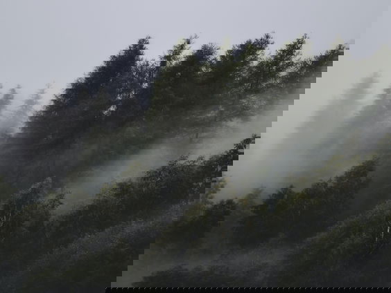 Lekkere Track: Mistige bergen