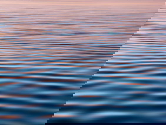 Lekkere Track: Razende haast in kalme berusting