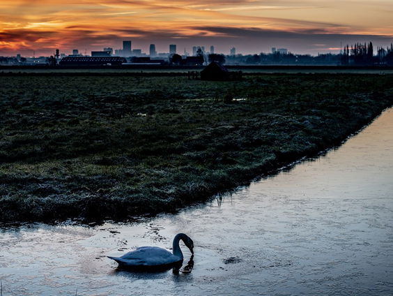 De Jaargetijden: Vorst