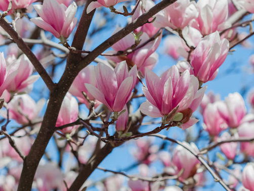 Lekkere Track: De eerste ochtend van de wereld