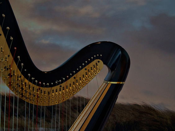 Lekkere Track: Harp ontdekking