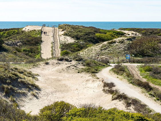De dromenvanger, nr. 283: Noordwijk