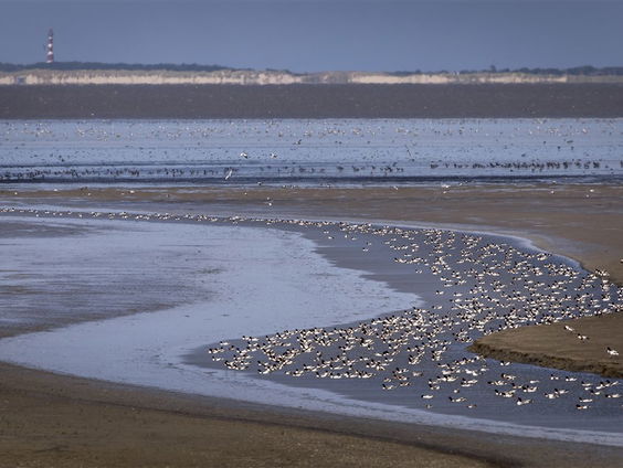 De Jaargetijden: de Waddenzee