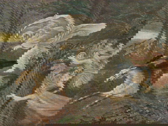 Kettingreactie 26 juli 2023