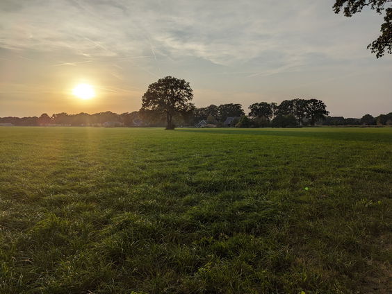 De Jaargetijden: Daglicht