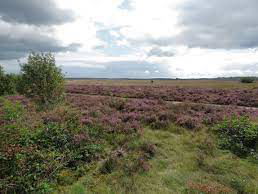 De dromenvanger, nr. 208: Parachutespringen