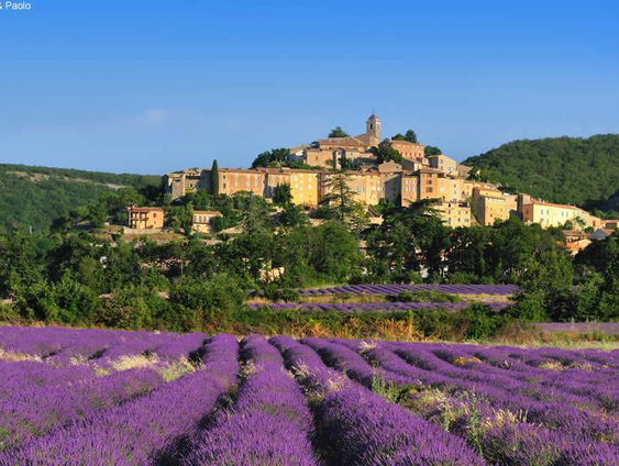 Hollandse Nieuwe! The lonely coyote, van Marc van Vugt, deel IV: Simiane