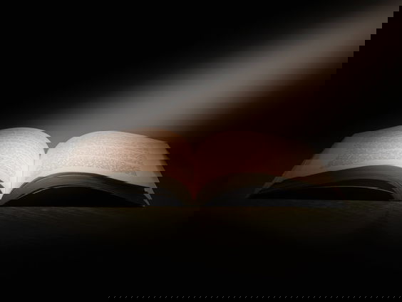 Lekkere Track: De ultieme bestseller