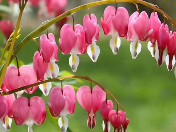 Kettingreactie 15 februari 2024