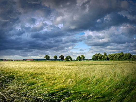 Kettingreactie 11 mei 2023