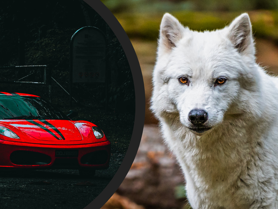 Kettingreactie 29 september 2023