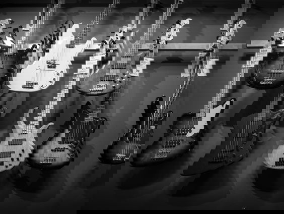 Lang Leve de Muziekschool: Ozzy