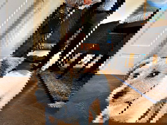 Stembus: André Lieshout uit Utrecht houdt een pleidooi voor Leoš Janáček