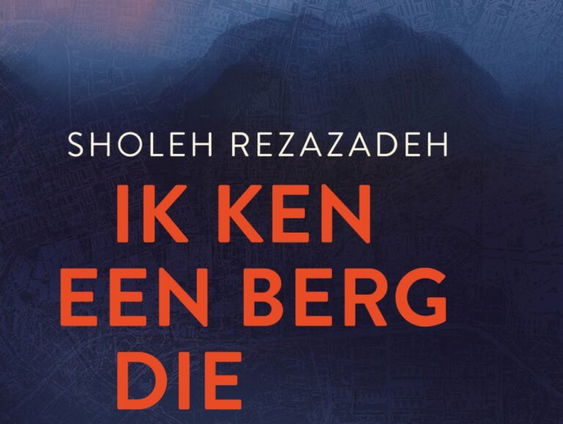 Het gesprek - Sholeh Rezazadeh