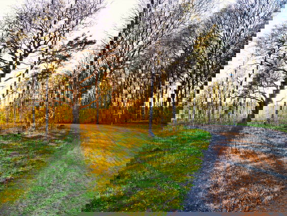 Lekkere Track: Nazomerige lenteweken