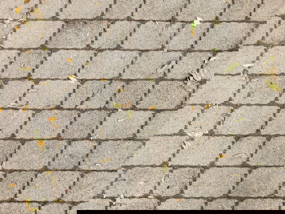 Lekkere track: Tegelwippen