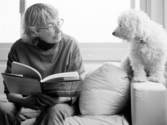 Gedicht: Een droom van bomen, van Mary Oliver