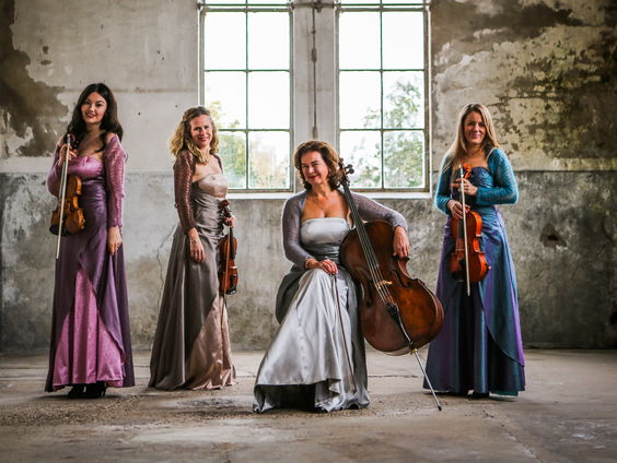 De dromenvanger, nr. 271: Strijkkwartet