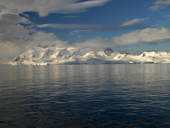 Kettingreactie 12 januari 2024