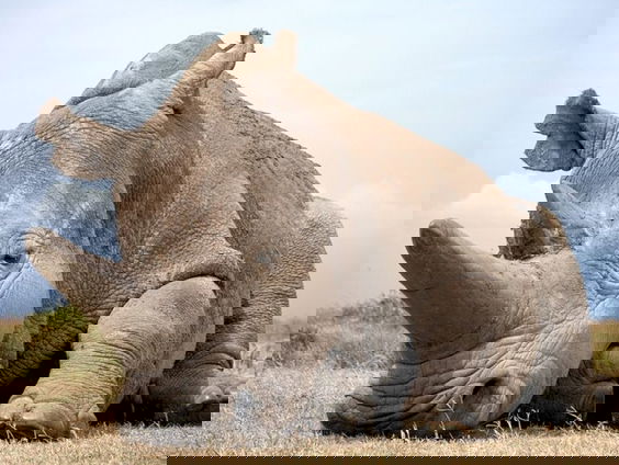 Gedicht: Stilte is een gaatje in geluid, van Bianca Boer