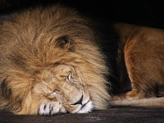 Kettingreactie 27 september 2023