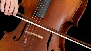 Bouwers van strijkstokken opgelucht: geen totaalverbod op hout