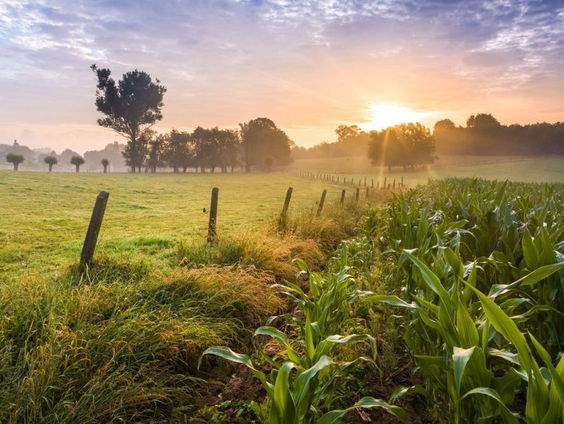 Gedicht: Diffusie, van Paul Demets