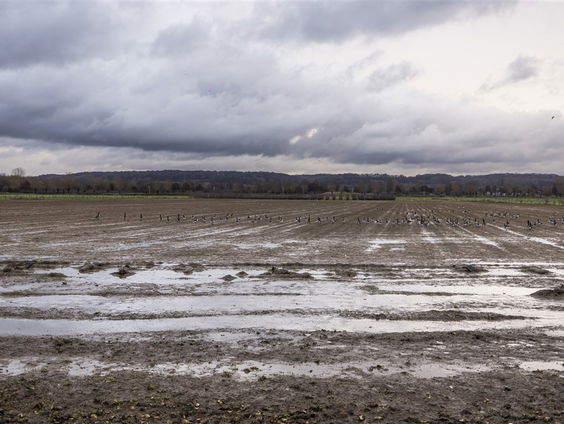 Zeeuwen kunnen met korting hun modderige auto wassen