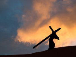 De dromenvanger, nr. 317: Lijden