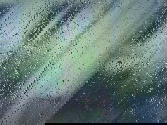 Lekkere Track: Straatspektakel