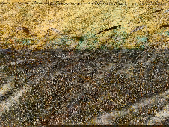 Het gesprek - Barbara Bos