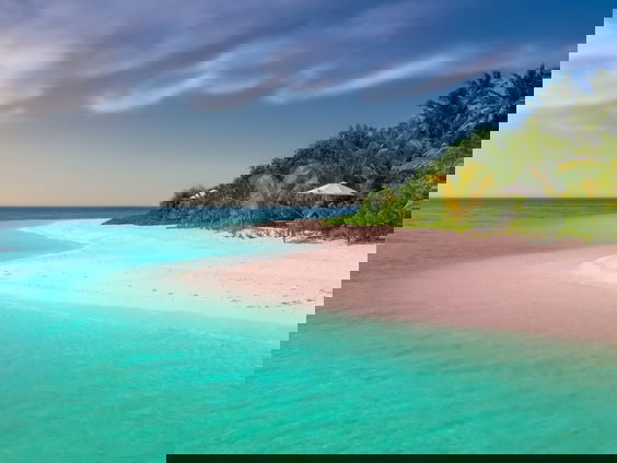 Lekkere Track: Tropische Bach