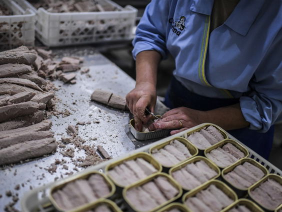 Menselijke Maat: Seasogood