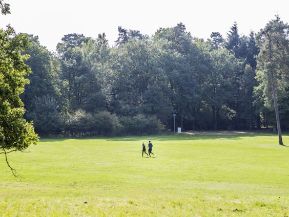 Gedicht: De introductie van het sleutelwoord II, van Frank Keizer