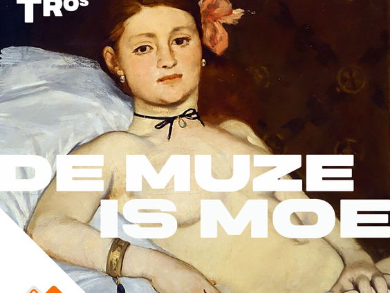 Het gesprek - Martine van der Veer