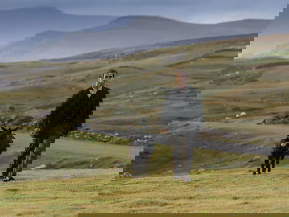 Filmtip - The Banshees of Inisherin