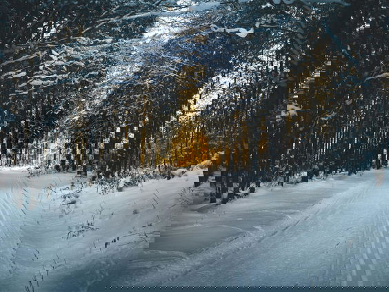 Lekkere Track: Sneeuw