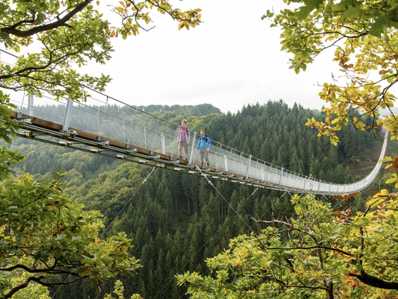 De dromenvanger, nr. 331: Hangbrug