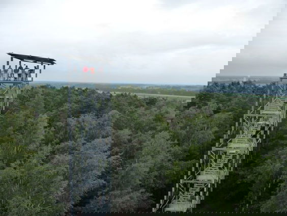 De dromenvanger, nr. 164: Schommel