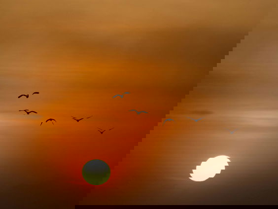 Mooi Moment: Ontmoetingen