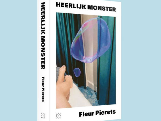 Het gesprek - Fleur Pierets