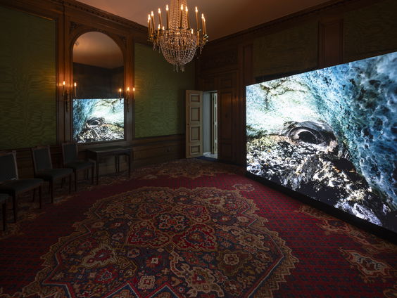 Museumtip: Voorbij de Gletsjer