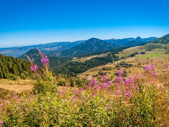 Kettingreactie 17 augustus 2023