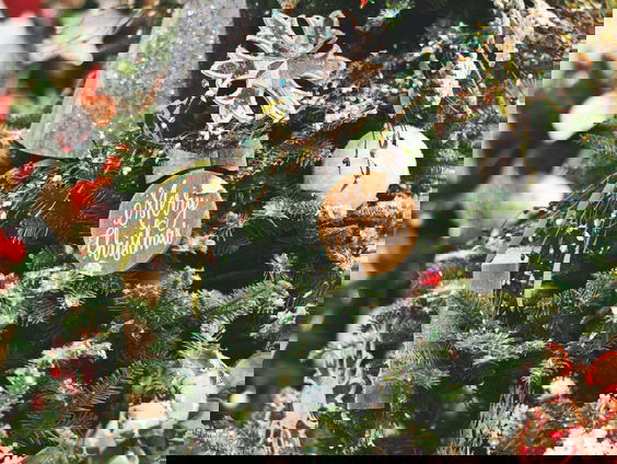 Lekkere Track: Kersttradities