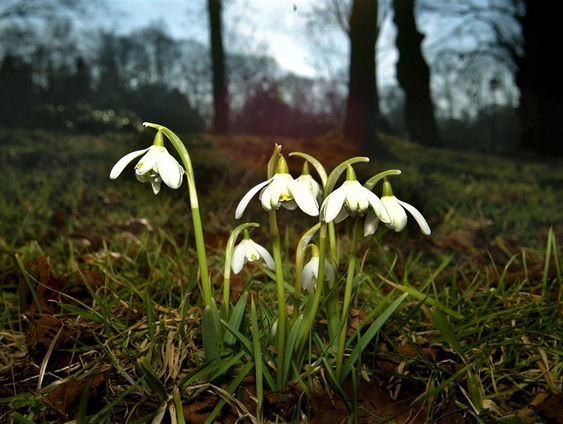 Lekkere Track: Begin januari