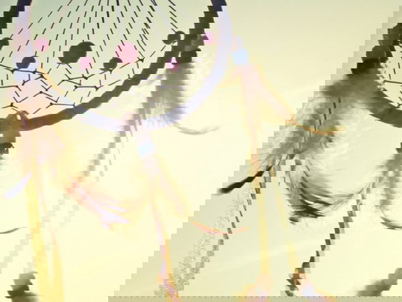 De dromenvanger, nr. 2: De zus