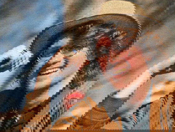 Ongebruikte Filmmuziek: Desplat - The Tree of Life