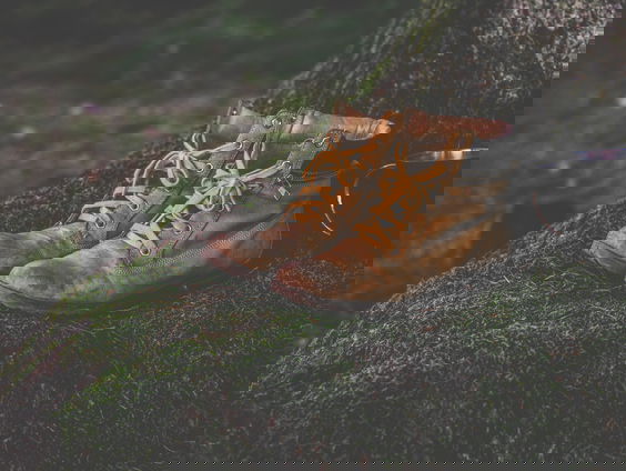 RadioReisDienst: Ronddwalen