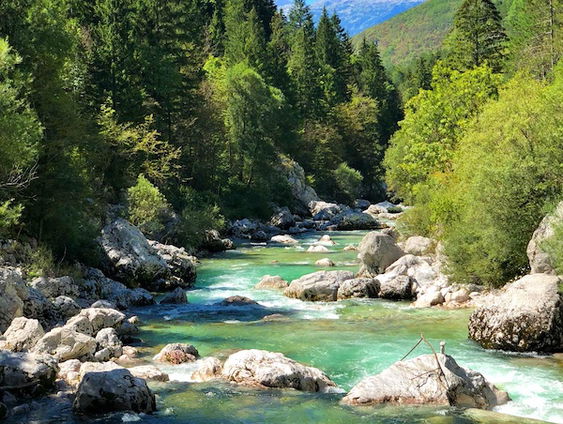 Gedicht: Een titel hoeft niet, van Szymborska