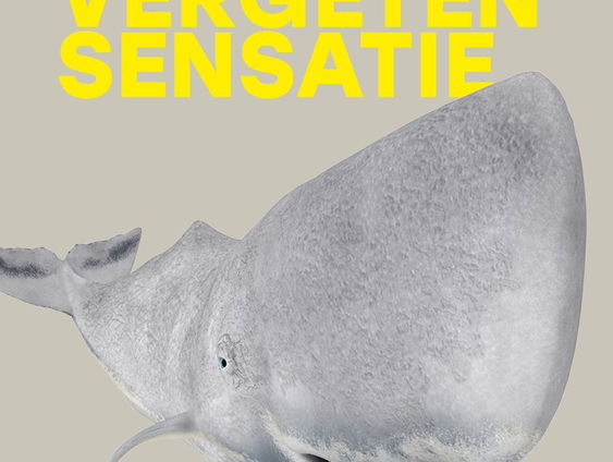 Het gesprek - Frank Bloem